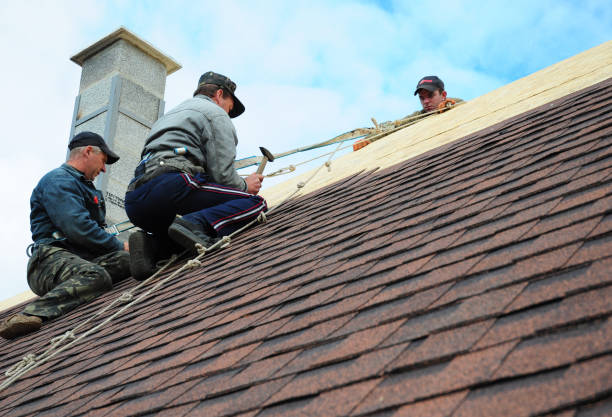 Best Storm Damage Roof Repair  in Port Chester, NY